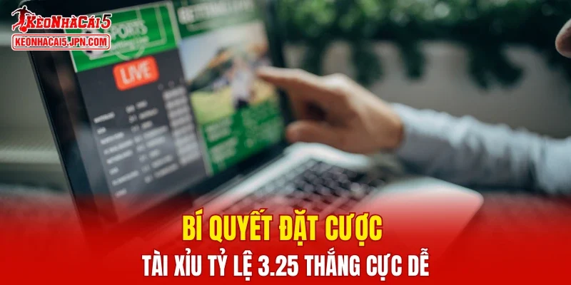 Bí quyết đặt cược tài xỉu tỷ lệ 3.25 thắng cực dễ