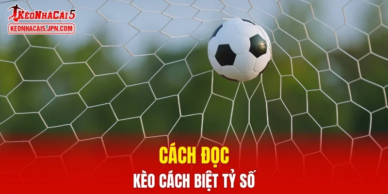 Cách đọc kèo cách biệt tỷ số chi tiết nhất