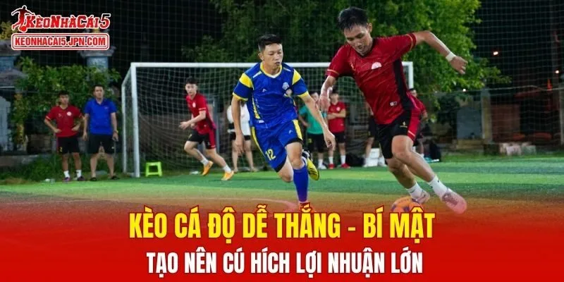 Kèo Cá Độ Dễ thắng