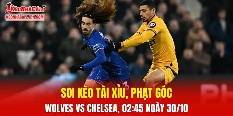 Trận đấu giữa Wolves và Chelsea đang hứa hẹn sẽ bùng nổ