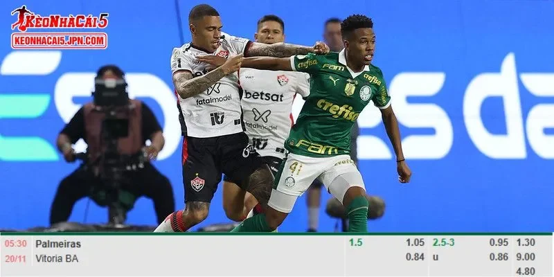 Tỷ lệ kèo chi tiết của trận Palmeiras vs Vitoria