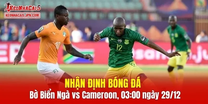 Cuộc đối đầu giữa Bờ Biển Ngà vs Cameroon hứa hẹn vô cùng kịch tính