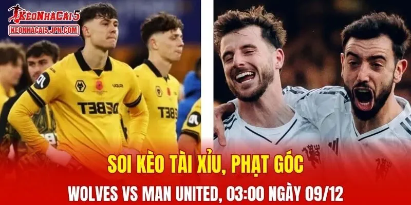 Cuộc đối đầu giữa Wolves và Man United đang được đánh giá là một trận cầu đầy kịch tính