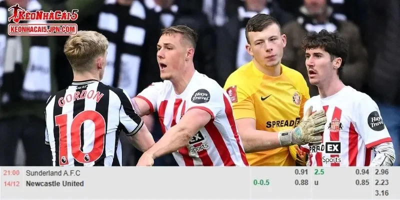 Soi kèo chi tiết nhất cho trận đấu giữa Sunderland vs Newcastle