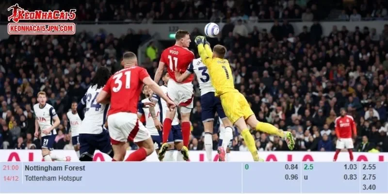 Tỷ lệ kèo chi tiết của cuộc đấu Nottingham Forest vs Tottenham
