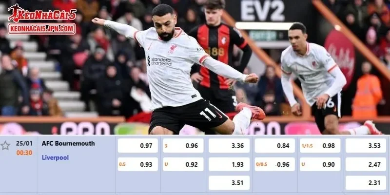 Chi tiết nhất về tỷ lệ kèo cho màn đối đầu giữa Bournemouth vs Liverpool