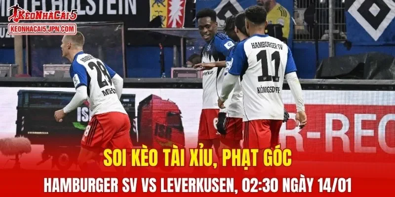 Cuộc đối đầu giữa Hamburger SV và Leverkusen hứa hẹn sẽ rất hấp dẫn