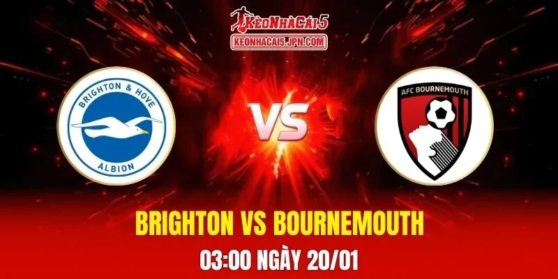 Soi Kèo Tài Xỉu, Phạt Góc Trận Brighton Vs Bournemouth, 03:00 Ngày 20/01