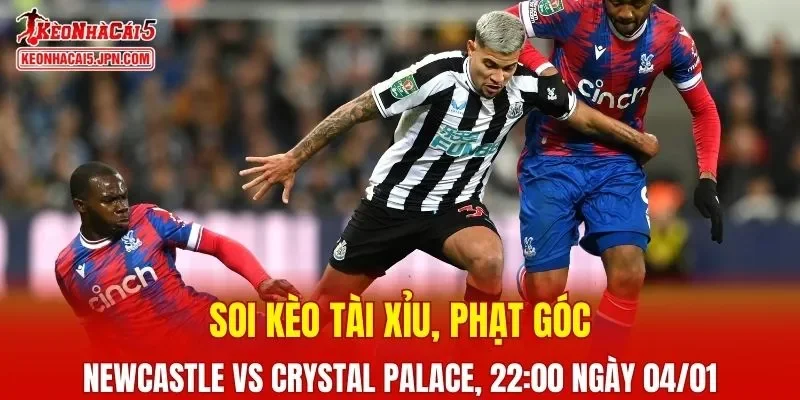 Trận đấu giữa Newcastle United Vs Crystal Palace đang hứa hẹn sẽ bùng nổ