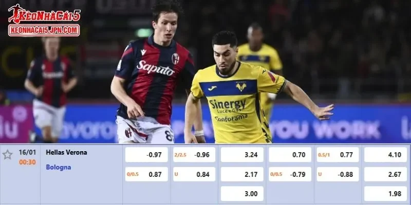 Tỷ lệ kèo chi tiết nhất cho trận đấu giữa Hellas Verona vs Bologna