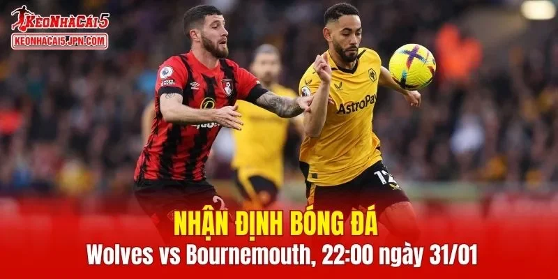 Cuộc chạm trán giữa Wolves vs Bournemouth hứa hẹn diễn ra vô cùng hấp dẫn