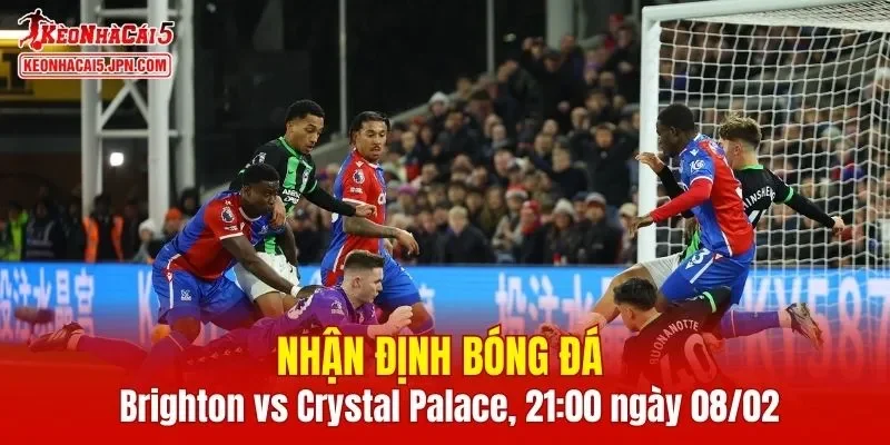 Cuộc đối đầu Brighton vs Crystal Palace hứa hẹn nhiều cảm xúc