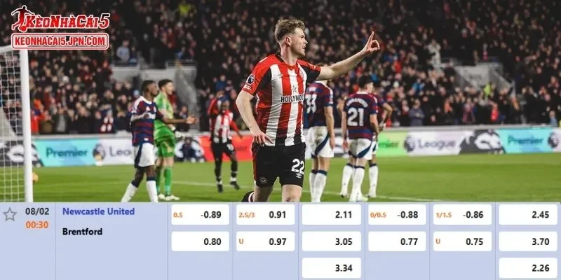 Tỷ lệ kèo chi tiết của của trận Newcastle vs Brentford