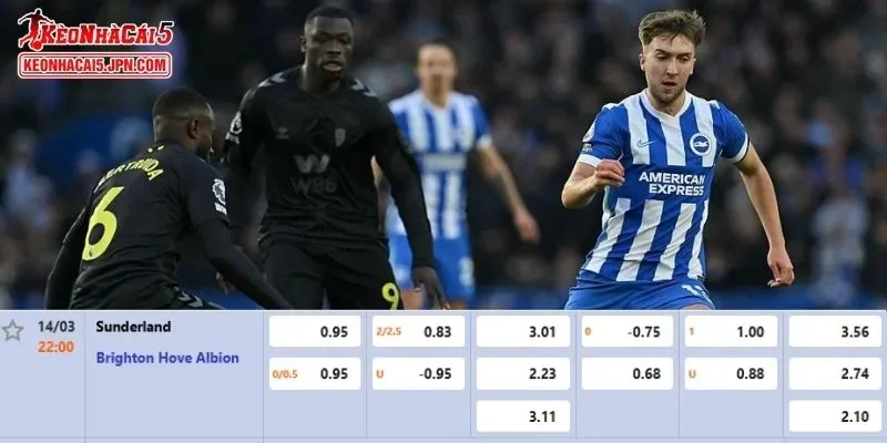 Tỷ lệ kèo chi tiết nhất cho trận đấu giữa Sunderland vs Brighton